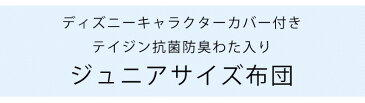 ディズニーキャラクター カバー付き 掛け敷き組布団セット ジュニア セミシングル ジュニア布団セット ジュニアふとん 子供用布団 トイストーリー ディズニープリンセス モンスターズユニバーシティ ちいさなプリンセス ソフィア 帝人 テイジン マイティトップ