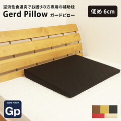 https://thumbnail.image.rakuten.co.jp/@0_mall/futon-outlet/cabinet/pillow/10003867.jpg