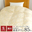 羽毛合掛け布団 シングル 西川 ダック85% 1.0kg入 抗菌加工 150×210cm 暖かい うもう 羽毛 掛け布団 秋冬用 日本製 KP2571-2