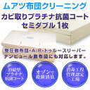 【送料無料+P5倍 4/27 09:59迄】セール限定価格 ムアツ布団 クリーニング カビ取り 持続型プラチナ抗菌 セミダブル 1枚 整圧敷布団 エ..