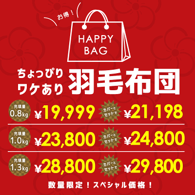 【25日20時〜2H限定クーポンで10%OFF】福袋2025 羽毛布団 シングル 日本製 ホワイトダックダウン90% カバーセットも選べる エクセルゴールドラベル付 国産 0.8kg 1.0kg 1.3kg シングルロング 150×210cm 国内パワーアップ加工 布団カバー - Image 2