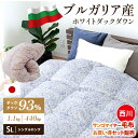 【西川 毛布セット有】 ブルガリア