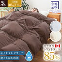 【6/1限定クーポンで11%OFF】日本製 コインランドリーで洗える 羽毛布団 ホワイトダック ダウン85% 乾燥機OK シングル カナダ産 ダウンパワー350dp 0.8kg 1.1kg 秋 冬用 150×210cm 京都金桝 シングルロング 羽毛 合掛け 洗える 洗濯 ウォッシャブル【同梱不可】(3)