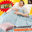 【11日01:59迄クーポンで最大4000円OFF】【色込み】ダウンケット シングル 掛け布団 夏用 羽毛 肌掛け布団 福袋 0.25kg ダウン70% 羽毛の夏掛け 洗える 150×210cm 肌掛け 羽毛布団 羽毛肌掛け布団 肌布団 夏 夏布団 アウトレット
