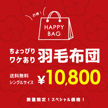 【訳あり 福袋 色柄お任せ】羽毛布団 シングル ポーランド産 ダックダウン85％ 1.0kg 立体キルト エクセルゴールド ダウンパワー350dp以上 綿100％（60サテン生地 超長綿）パワーアップ加工 ロング 秋冬 アウトレット ラベル ランク 楽天 日本製 国産 送料無料【あす楽対応】