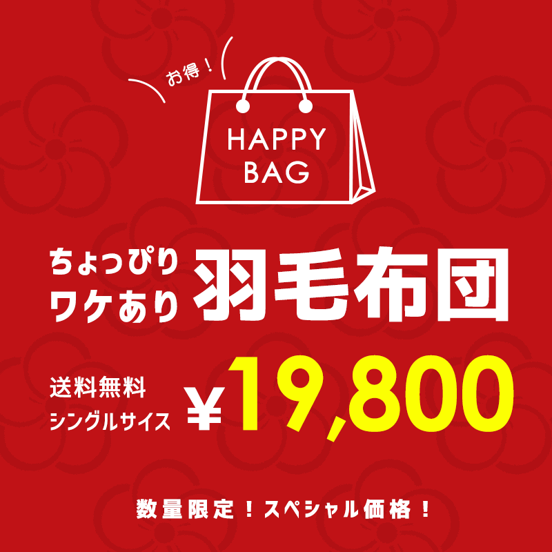 【訳あり 福袋 色柄お任せ】羽毛布団 シングル ポーランド産 ダックダウン93% 増量1.3kg 立体キルト ロイヤルゴールド ダウンパワー400dp以上 綿100%(60サテン生地 超長綿)パワーアップ加工 ロング 秋冬 アウトレット ラベル 楽天 日本製 国産 送料無料【あす楽対応】