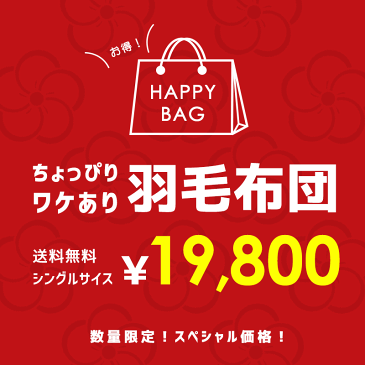 【訳あり 福袋 色柄お任せ】羽毛布団 シングル ポーランド産 ダックダウン93％ 増量1.3kg 立体キルト ロイヤルゴールド ダウンパワー400dp以上 綿100％（60サテン生地 超長綿）パワーアップ加工 ロング 秋冬 アウトレット ラベル 楽天 日本製 国産 送料無料【あす楽対応】