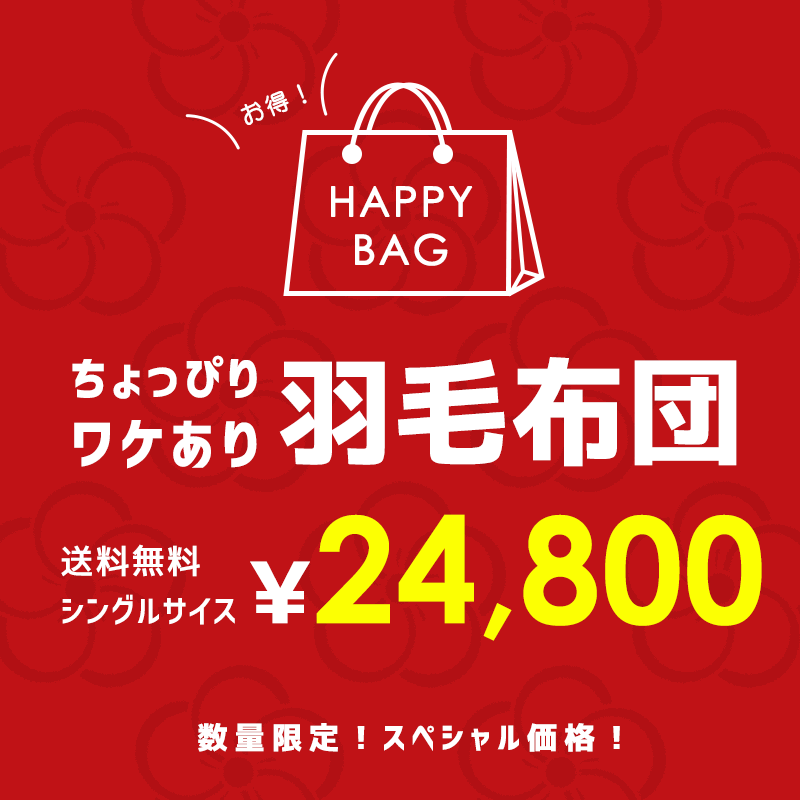 ◆期間限定価格◆【訳あり 福袋 色柄お任せ】羽毛布団 シングル ポーランド産 グースダウン93% 1.0kg 立体キルト ロイヤルゴールド ダウンパワー400dp以上 綿100%(80サテン生地 超長綿)パワーアップ加工 おすすめ 冬用 アウトレット 日本製 国産 送料無料【あす楽対応】