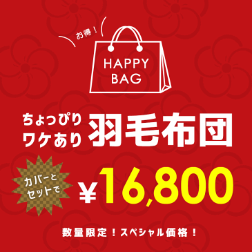 【訳あり 福袋 色柄お任せ】羽毛布団セット シングル ポーランド産 ダックダウン93％ 1.0kg 立体キルト ロイヤルゴールド ダウンパワー400dp以上 綿100％（60サテン生地 超長綿）パワーアップ加工 おすすめ 冬用 アウトレット ランク 日本製 国産 送料無料【あす楽対応】