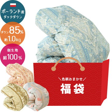 【訳あり 福袋 色柄お任せ】羽毛布団 シングル ポーランド産 ダックダウン85% 1.0kg 立体キルト エクセルゴールド ダウンパワー350dp以上 綿100%(60サテン生地 超長綿)パワーアップ加工 ロング 秋冬 アウトレット ラベル ランク 楽天 日本製 国産 送料無料【あす楽対応】