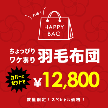 【訳あり 福袋 色柄お任せ】羽毛布団セット シングル ポーランド産 ダックダウン85％ 1.0kg 立体キルト エクセルゴールド ダウンパワー350dp以上 綿100％（60サテン生地 超長綿）パワーアップ加工 おすすめ 冬用 アウトレット ラベル ランク 日本製 国産【あす楽対応】