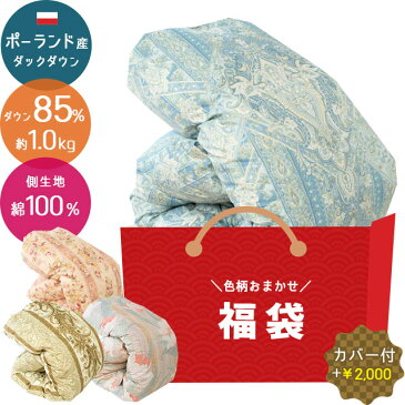 【訳あり 福袋 色柄お任せ】羽毛布団セット シングル ポーランド産 ダックダウン85％ 1.0kg 立体キルト エクセルゴールド ダウンパワー350dp以上 綿100％（60サテン生地 超長綿）パワーアップ加工 おすすめ 冬用 アウトレット ラベル ランク 日本製 国産【あす楽対応】