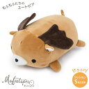 【敬老の日ギフト】Mofutopia モフトピア2 Sサイズ...