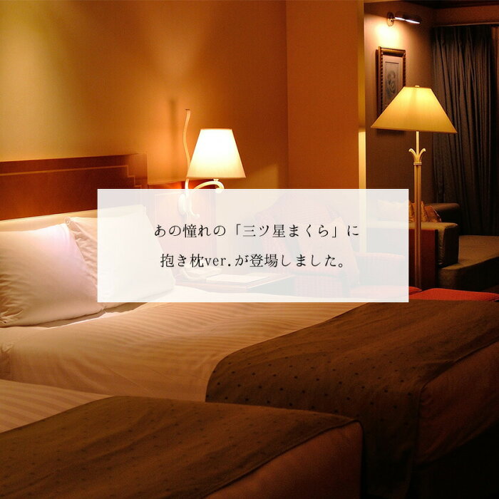 昭和西川 ホテルモードマルチ抱きまくら 画像3
