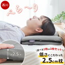 西川 枕 低め 低反発 柔らかい 低さにこだわった 枕 ぺらーり もっちり やわらか 枕 50×30cm 高さ約2.5cm 2枚組 1枚単品 選べる 低い枕 低反発ウレタン 足枕 腰枕 隙間クッション 薄手 2枚セット 肩口フィット 高さ調整 女性 ハロウィン nishikawa