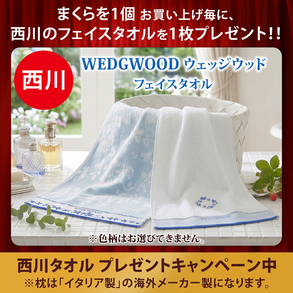 【西川 フェイスタオル プレゼント】枕 洗える カバー付き オルトペディコ枕 イタリア製 アンナブルー スリープメディカル枕 伝説の枕 ピロケースセット 専用ピロケース：枕1個に1枚付属 エコテックス100認証 まくら いびき 肩こり 首こり ギフト プレゼント お中元 - Image 2
