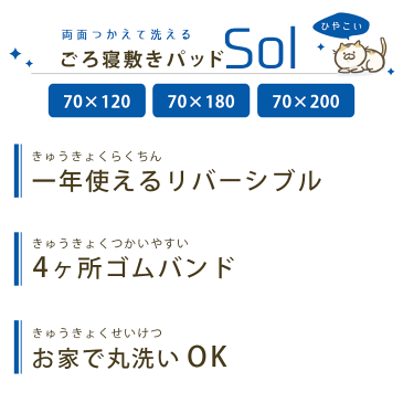 お昼寝敷きパッド ごろ寝パッド ひんやり 接触冷感素材&パイル生地 リバーシブル 70×120cm 70×180cm 70×200cm ごろ寝マット 敷きパッド 敷きパット ネイビー グレー ブルー 洗濯OK SOL 大人 レジャー 車中泊 敷きパッド【あす楽対応】