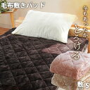 【LINE登録で100円OFFクーポン】敷きパッド 冬 シングル クーシェ とろける 毛布 100×200cm フランネル あったか ウォッシャブル 洗える 秋...