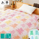 【GWも営業＆出荷】【訳あり】 掛け布団カバー ジュニア 135×185cm くま クマ かわいい 可愛い キッズ こども 掛けカバー 掛けぶとんカバー ふとんカバー ピンク ブルー アウトレット B品