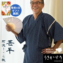 【敬老の日 無料ギフト対応】甚平 メンズ 藍しじら織 阿波特産 うきかすり 綿100% しじら織り ギフト 阿波 藍 藍染 徳島 夏 和 和装 伝統 工芸 ご当地 名産 特産 日本製 じんべい 紳士 M L LL 大きいサイズ 2L 阿波藍の日 柄 紺 ネイビー ブルー 敬老の日