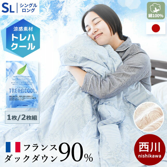 【クーポンで1000円OFF】西川 ダウンケット シングル 綿100％ 洗える ダウン90％ 1枚 