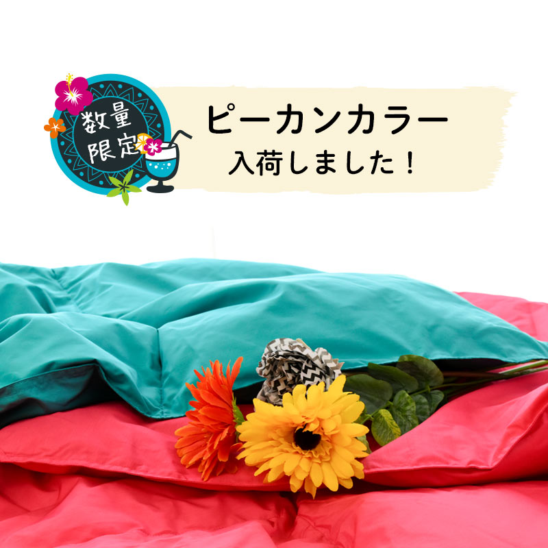 ダウンケット 西川 「クーシェ」 スタンダード シングル 洗える 羽毛 肌掛け布団 ウォッシャブル 東京西川 ダウン85％ 詰め物300g 羽毛肌掛け布団 シングルロング 150×210cm 肌布団 夏 洗濯 抗菌加工 無地 夏布団 掛け布団【あす楽対応】バレンタイン ギフト格安通販　バレンタイン　人気　ランキング