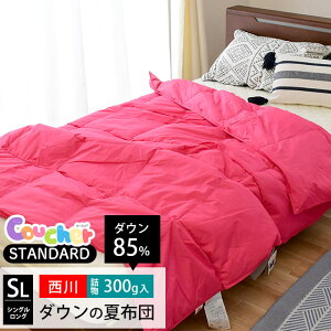 ダウンケット 西川 「クーシェ」 スタンダード シングル 洗える 羽毛 肌掛け布団 ウォッシャブル 東京西川 ダウン85% 詰め物300g 羽毛肌掛け布団 シングルロング 150×210cm 肌布団 夏 洗濯 抗菌加工 無地 夏布団 掛け布団【あす楽対応】バレンタイン ギフト