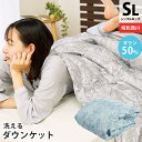 【GWも営業＆出荷】羽毛の夏掛け昭和西川 洗える ダウンケット ダウン50％ 肌掛け布団 西川 ウォッシャブル シングル 洗える 西川 羽毛布団 夏用 詰め物250g 羽毛肌掛け布団 シングルロング 150×210cm