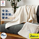 【お得な2枚セット】今治 タオルケット ハーフサイズ 100×140cm ハーフケット 無添加 夏用 綿100% 当社限定品 今治産 今治タオルケット パイル ...