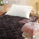 【クーポンで100円OFF】クーシェ とろける 毛布 敷きパッド セミダブル 120×200cm フランネル あったか ウォッシャブル 洗える 秋 冬 寝具 敷き毛布 無地 暖かい 暖か 新生活 ベーシック あったか 秋冬用 ピンク ベージュ ブラウン 節電 当社限定品