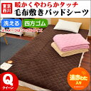 敷きパッド 東京西川 西川 毛布 敷きパッド サンゴマイヤー クイーン サイズ 160×205cm マイクロファイバー 洗える 遠赤綿 敷き毛布 極細繊維 秋 冬 寝具 ベッド パッド