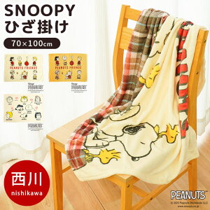   Ҥݤ 70100cm ̡ԡ PEANUTS ⤦ ä ʤ餫 ֥󥱥å     ݤ  襤 SNOOPY ԡʥå 10070 