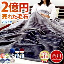 【4日20時よりエントリーで全品P5倍】当社限定 ふっくら衿付き 1億円毛布 西川 毛布 シングル 2枚合わせ 選べる13柄 ブランケット（140×200cm）東京西川 マイヤー毛布 nishikawa 掛け 秋 冬 寝具 洗える 二重 暖かい かわいい 北欧 おしゃれ 【あす楽】