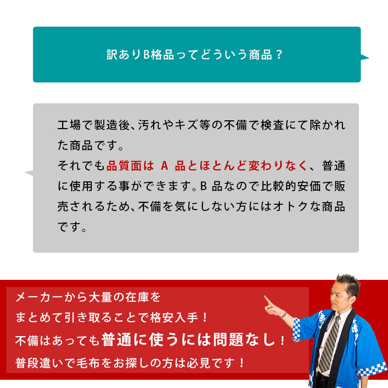 【訳あり・色柄おまかせ】（無地含む）2枚合わせマイヤーひざ掛け毛布 クォーターケット 70×100cm ブランケット 暖かい 犬、猫ペット用毛布、グッズとしても♪