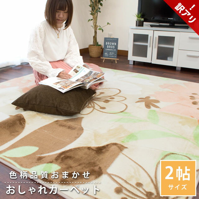 【完売】訳あり 色柄品質込み アウトレット ラグ ホットカーペットカバー 2畳 185×185 ラグマット カーペット 2帖 床暖房 冬 こたつ敷き布団としても おしゃれ かわいい 絨毯 ホットカーペット対応 正方形 柄込 リビング ダイニング あったか あたたか 敷布団のサムネイル