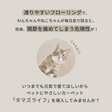 ペット対応 カーペット ラグ 8畳 日本製 フリーカット 抗菌加工 オールシーズン 年中 おしゃれ 平織り 正方形 8帖 352×352cm 江戸間 犬 わんこ 猫 ネコ 絨毯 ワンルーム リビング ダイニング 無地 ラグマット フロアマット おしゃれ 春 夏用 新生活 国産 【あす楽対応】