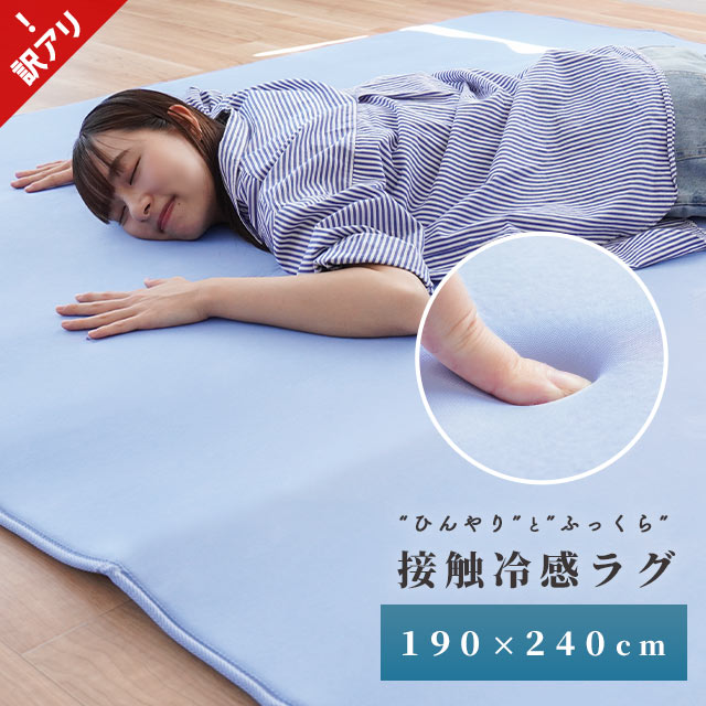 ڥݥ200OFFۡܿ䴶饰 ȿȯ쥿 190240cm 3 Ĺ 餰 󥿡饰 饰ޥå ...