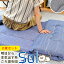 【延長SALE】【2枚セット】当社限定 ごろ寝マット ひんやり 接触冷感素材&パイル生地 抗菌防臭 リバーシブル 70×180cm SOL 固綿入り三層構造 大人 ごろ寝座布団 ごろ寝布団 ごろ寝クッション 長座布団 レジャー 車中泊 お昼寝マット 敷布団 7,480円