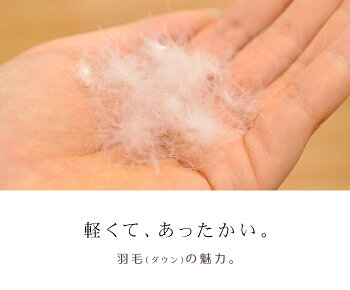 【送料無料】西川デュエットオールシーズン京都西川ホワイトダウン90%1.2kg2枚合わせツーピースダウン羽毛合掛け布団+羽毛肌掛け布団羽毛布団シングルシングルロング(150×210cm)