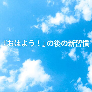 【送料無料】東京西川 ピロケア PILLOWCARE まくら専用消臭ケース お洗濯ネット付き ハンガー干し可能 クリーンキープセット 消臭 除湿 簡単 便利 加齢臭 におい ケアグッズ お手入れ 枕 まくら 新習慣【21日20時〜23日迄P2倍】