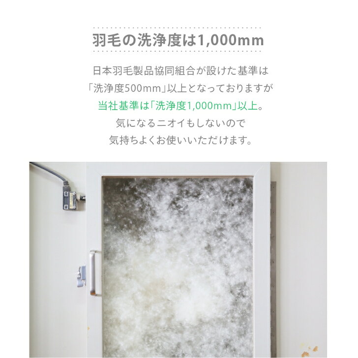 【ふとんファクトリー公式】日本製 国産 羽毛 羽毛布団 ダウンケット 肌掛け ダック マザーグース 掛ふとん シングル セミダブル ダブル クイーン キング 70% 85% 93% 羽毛掛けふとん 羽毛ふとん 掛布団 掛け布団 羽毛 軽い 暖かい futonfactory-10000080 FUTONFACTORY 楽天市場店 サンプル画像3