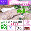 【立体キルト】【甲州産【555シリーズ】【春用 秋用 合布団S グース93】【カバープレゼント】シングル ハンガリー産グースダウン93％ 羽毛合掛布団 0.6kg/0.7kg/0.8kg/0.9kg/1.0kg/80サテン/カバー/綿100％/超長綿/日本製/甲州羽毛/タキリビング/いつきのふとん 2