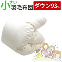 介護用サイズ 小さい 羽毛布団 イングランド産ダウン93% 0.8kg 1.0kg 140×190cm シングルショート コンパクト ショートサイズ DP370...