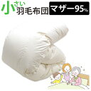 介護用サイズ 小さい 羽毛布団 ポーランド産マザーグース95% 0.8kg 1.0kg 140×190cm シングルショート コンパクト ショートサイズ DP4...