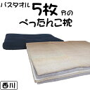 西川 超低めパイプ枕 バスタオル5枚分 寝返りラクラク 頸椎サポート/全メッシュ/通気性/洗える/ピロー/肩楽/首楽/マクラ/まくら/肩凝り/健康枕/京都西川/日本製/ストレートネック/いびき/バスタオル7枚/タオル5枚/タオル7枚