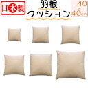 【2個で送料無料】 日本製 フェザークッション スクエア40×40cm/サンモト/ヌードクッション/もっちリ/インテリア/角形/クッション/綿100%/四角/s...