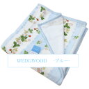 シール織綿毛布 （ 毛羽部分 ） （ シングル ） WEDGWOOD ウェッジウッド WW7620N B 日本製 西川 【 シール織り綿毛布 綿毛布 コットンブランケット 】