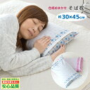 そば枕 安心の日本製 昔ながらのそば殻枕　約30×45cm 清潔 衛生 新生活 寝具 色柄おまかせ 選べる色系 送料無料