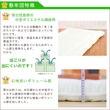 布団セット 2点 防ダニ ジュニア 日本製 送料無料 掛布団 敷布団 枕 帝人 抗菌 防臭 セミシングル キッズ 子供用 ほこりが出にくい 国産 新生活