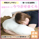 【訳あり】うつぶせまくら【送料無料】ソフトパイプ枕 低反発枕 安眠枕 いびき対策 まくら マクラ ピロケース 枕カバー 新生活寝具 【楽ギフ_包装】【488135】